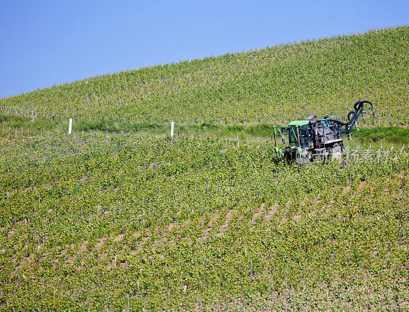 位于兰斯附近的奥特维尔，被联合国教科文组织列为世界遗产的香槟葡萄园，在春天被除草剂处理