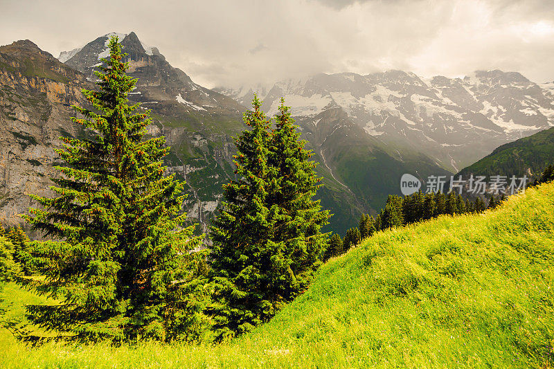 山的风景。Lauterbrunnen。瑞士。伯尔尼州。穆伦村庄。夏天。绿草