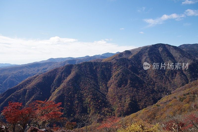 中仓山的秋叶