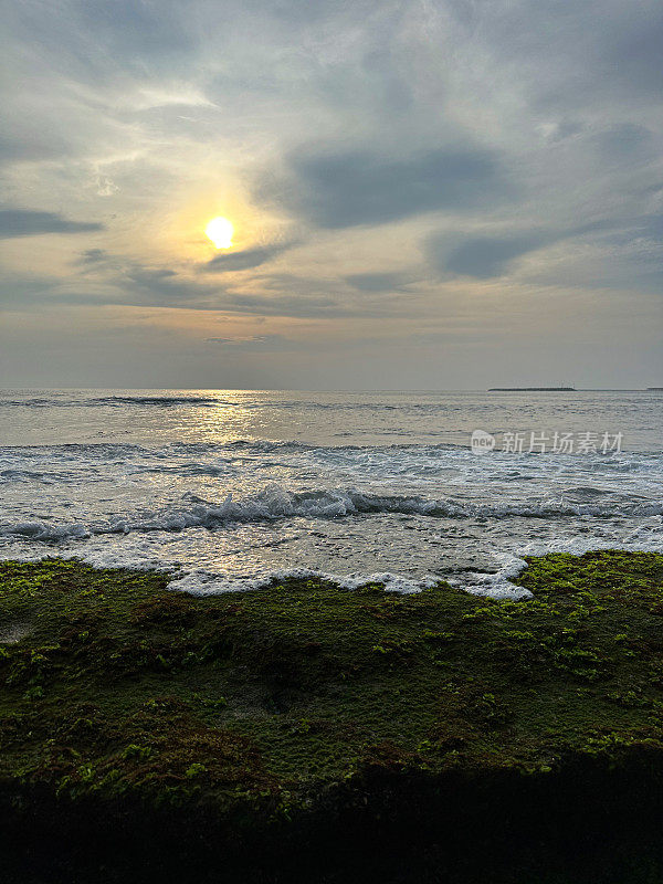 海边橙色的太阳映照在海面上，泡沫海浪在岸边破碎，绿藻和海藻覆盖岩石，岩石潮汐池，潮汐反射，太阳落在涟漪的水面上，复制空间