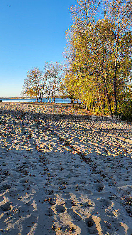 秋天的河岸。黄钱在树上，脚印在沙滩上。树上有乌鸦。