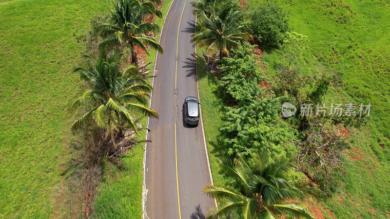 航拍:在一个阳光明媚的日子里，在美丽的热带风景中驾车穿梭于棕榈树之间