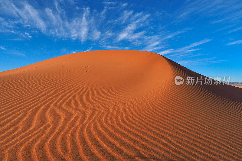 沙漠景观中的无沙丘