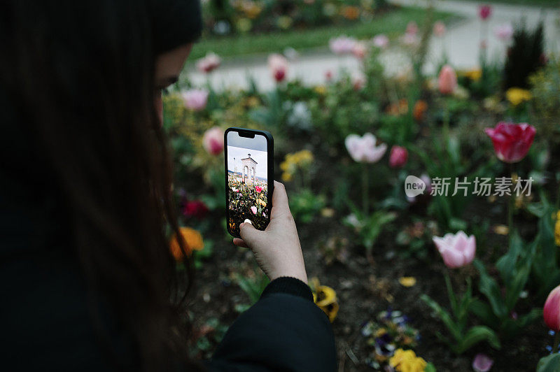 一位女士正在给鲜花拍照