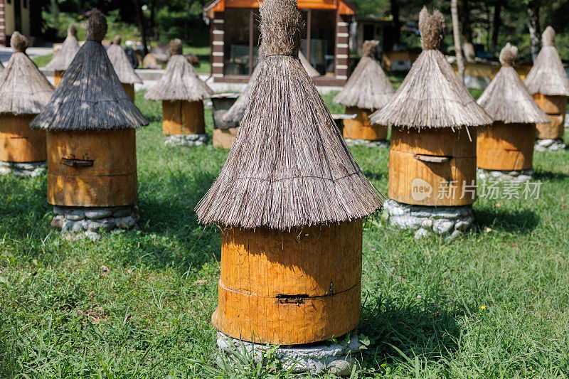 用于养蜂和在盛开的田野里采集蜂蜜的养蜂用的木盒或蜂箱。