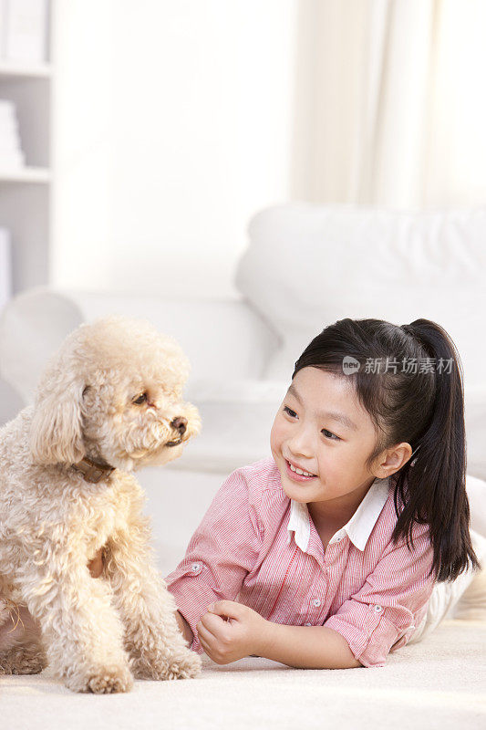 小女孩和泰迪狗一起玩耍