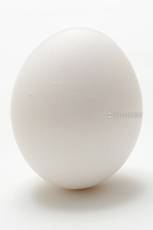 单一的完美的蛋