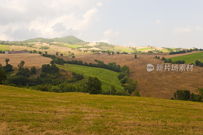 蒙特费尔特罗(马奇，意大利)，乌尔比诺附近的风景在夏天
