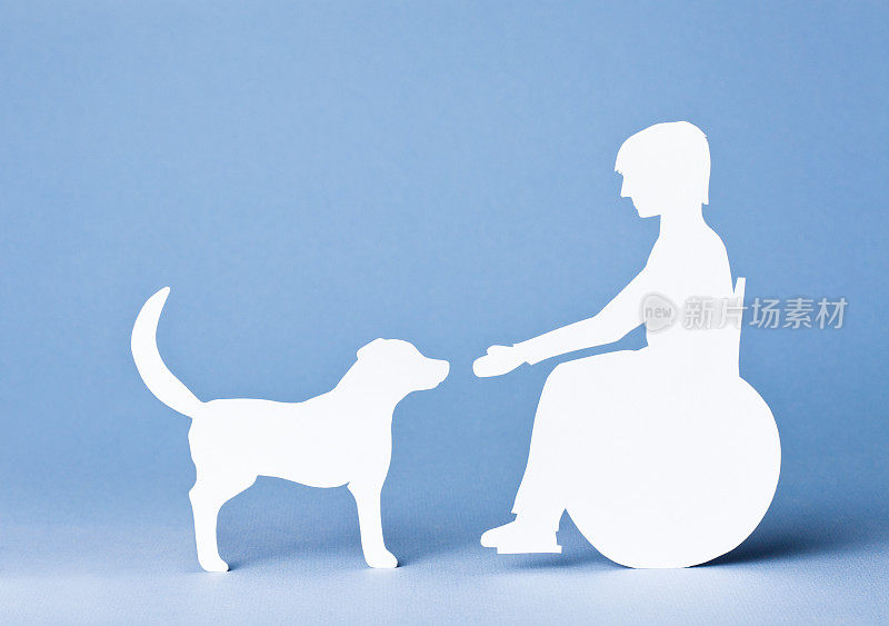 青少年在轮椅上与狗互动:纸上概念