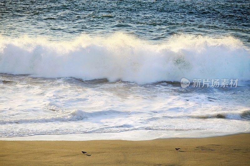 海滩景观与海浪在海洋