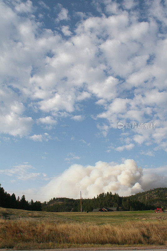 黑山控制森林大火产生的烟雾