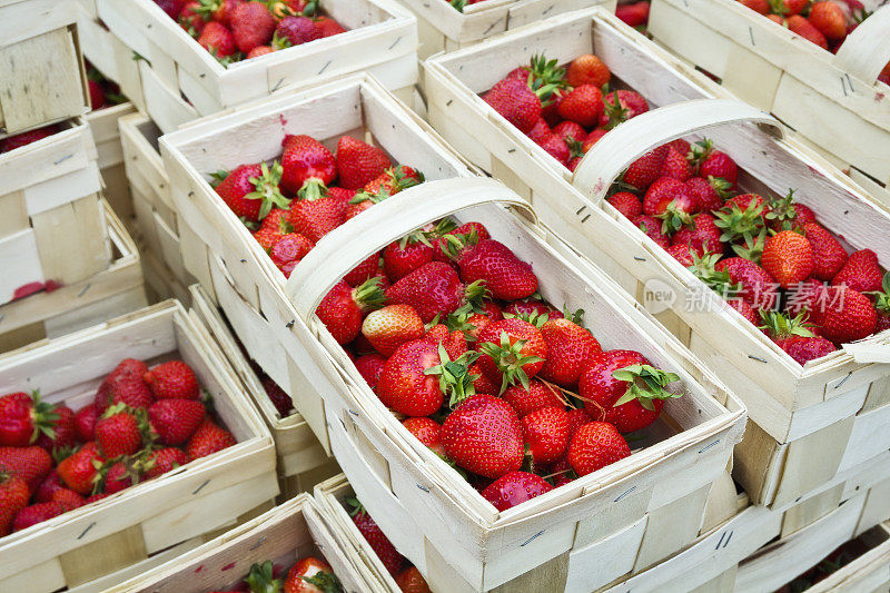 篮子里自家种的草莓