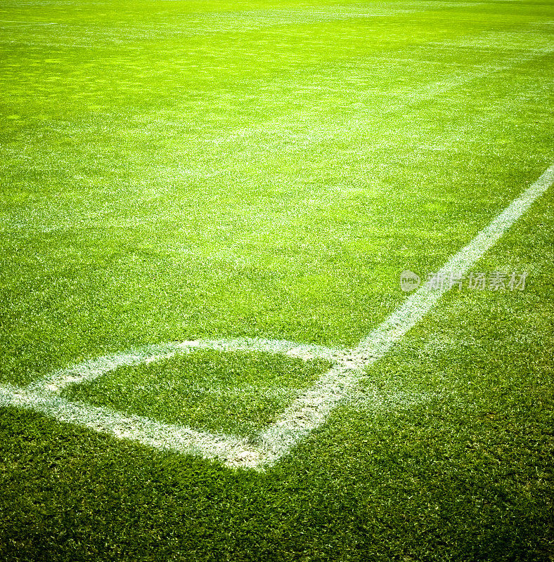 足球场一角，绿草如茵，背景足球