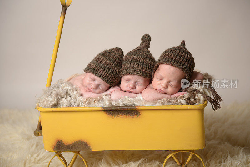 刚出生的三胞胎兄弟睡在马车上