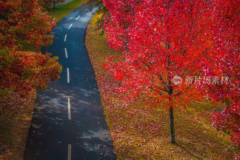 秋季步道