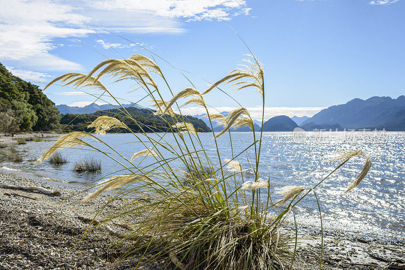 马纳波里湖，浅湾