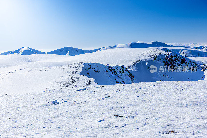 苏格兰凯恩戈姆荒野地区