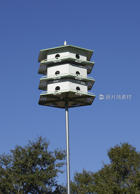 高层建筑禽舍