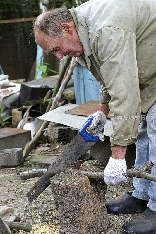 乌克兰男子在锯木头