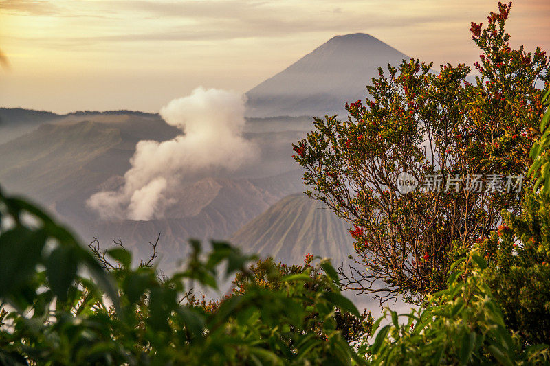 日出时的布罗莫火山