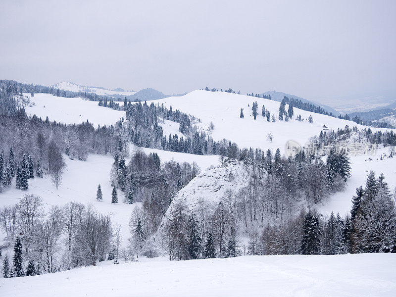 冬天的山景观。Pieniny,波兰。