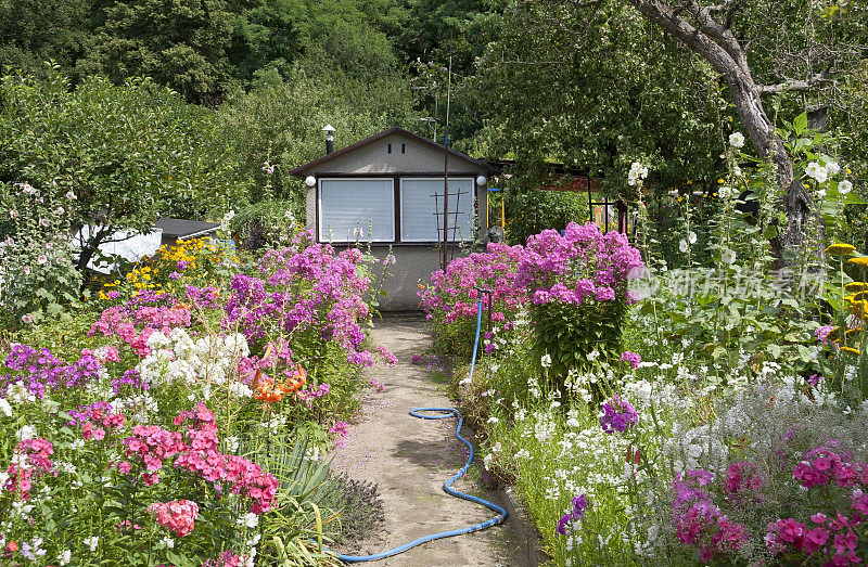 在小屋花园