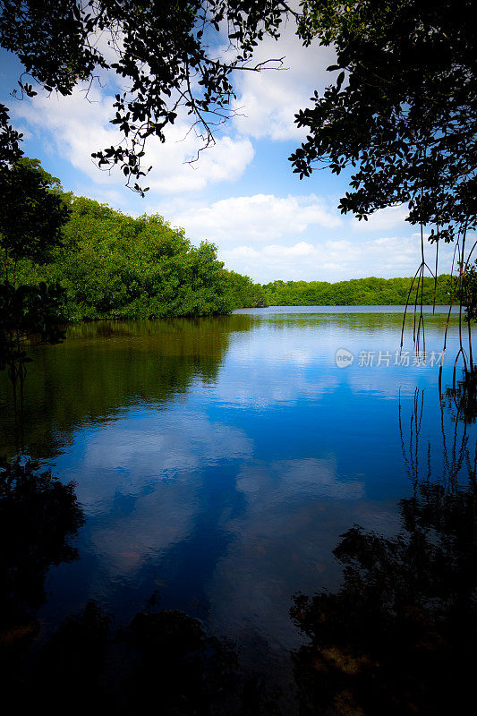 湿地国家公园的水，天空和树木