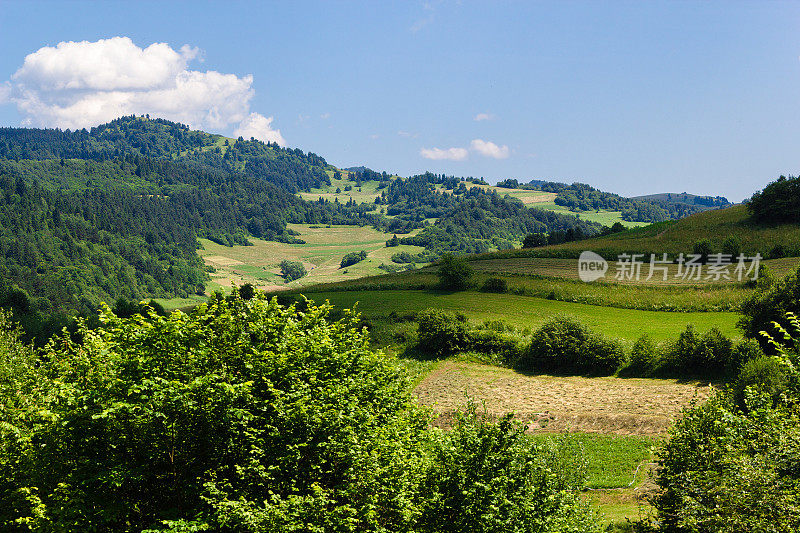 夏天在山脉。Pieniny,斯洛伐克。