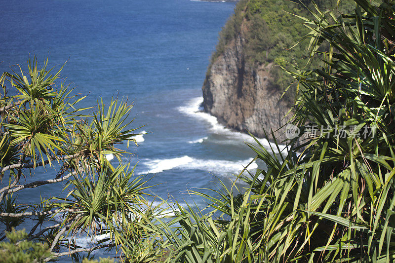 夏威夷北部海岸