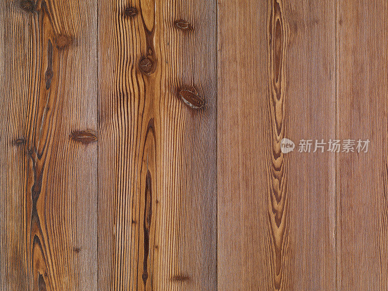 天然木纹纹理――松木