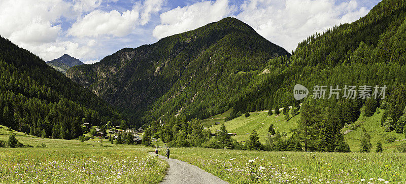 田园诗般的夏季草甸阿尔卑斯山的山峰
