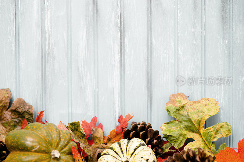 秋季背景用葫芦、南瓜、树叶装饰。