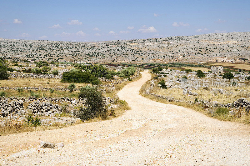 一条土路穿过阿勒颇附近的叙利亚农村