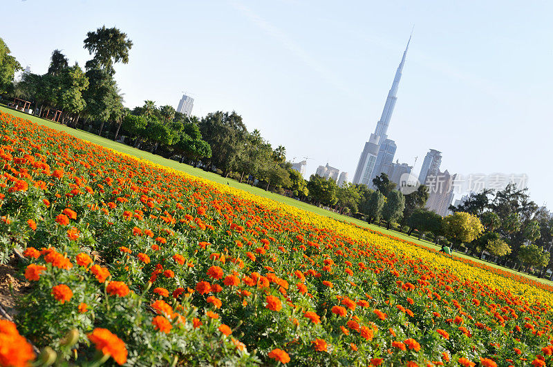 花园城市迪拜