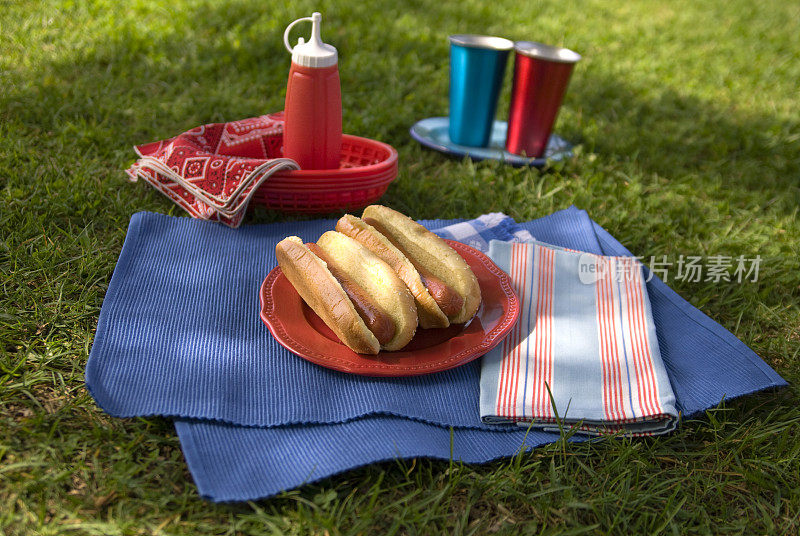烧烤热狗，烧烤野餐夏季午餐户外