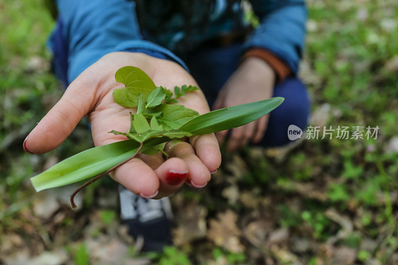 手里拿着绿色的植物叶子