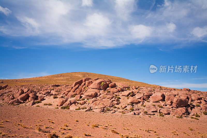 阿尔蒂普拉诺-阿塔卡马，智利