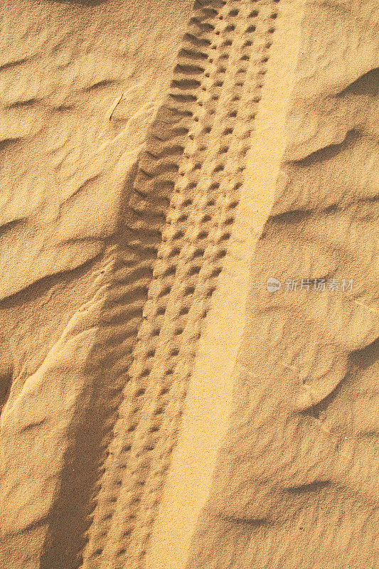 沙丘上的轮胎痕迹