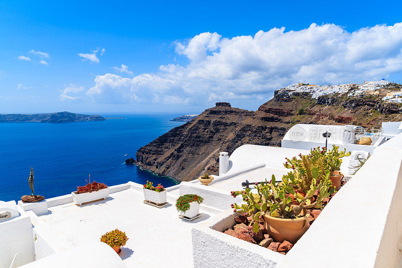 希腊圣托里尼岛，美丽的Firostefani村庄和火山口海景房子屋顶上的植物