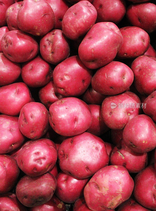展出红土豆