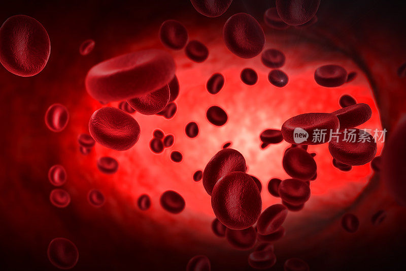 3D绘制动脉中的红细胞，体内流动，医疗人体保健