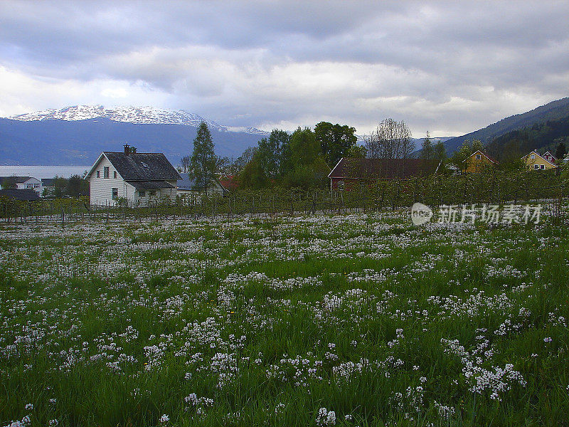 挪威Balestrand村和SogneFjord与花圃在春天，挪威景观，斯堪的纳维亚
