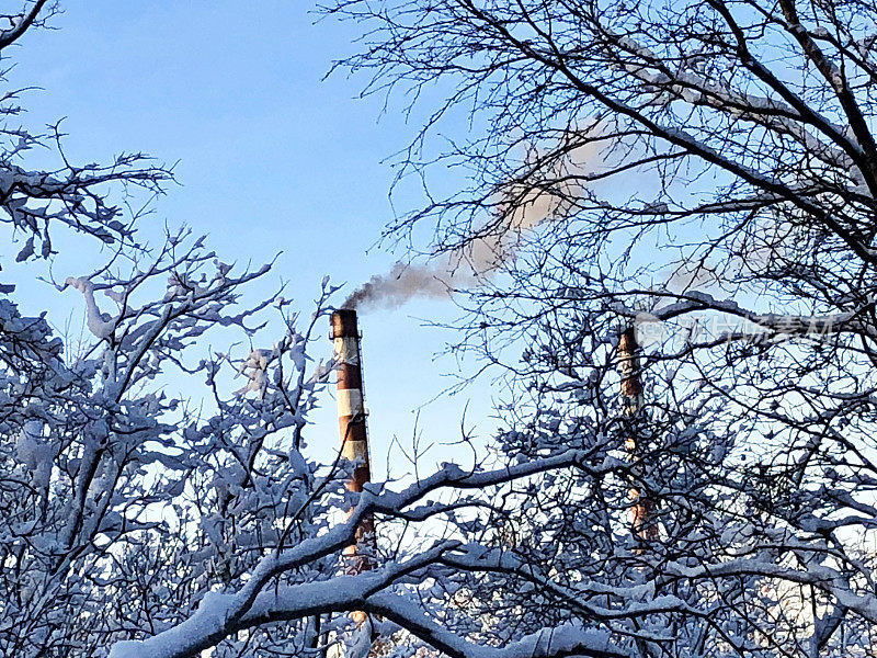 冬日森林背景上的烟囱