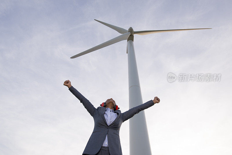 成功的可再生能源领域——风能。