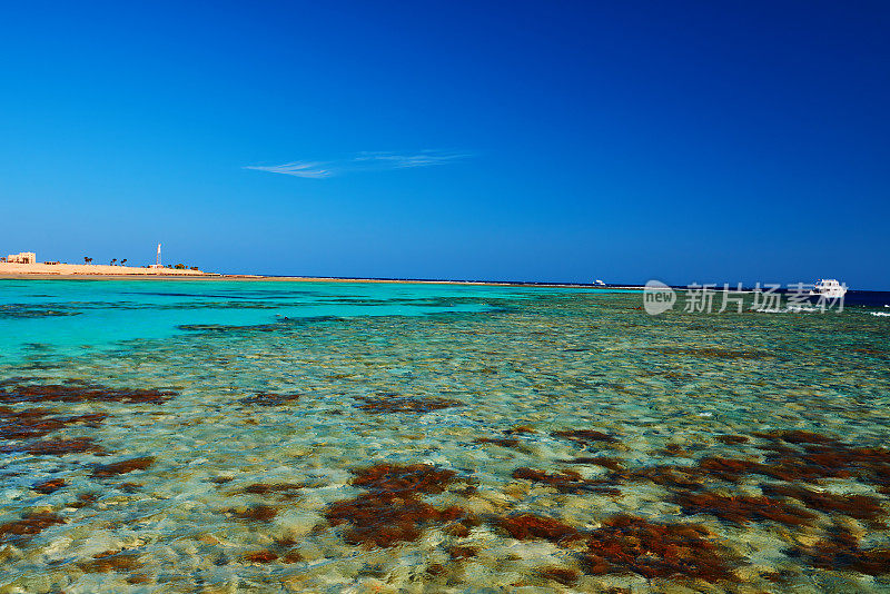 热带海洋背景