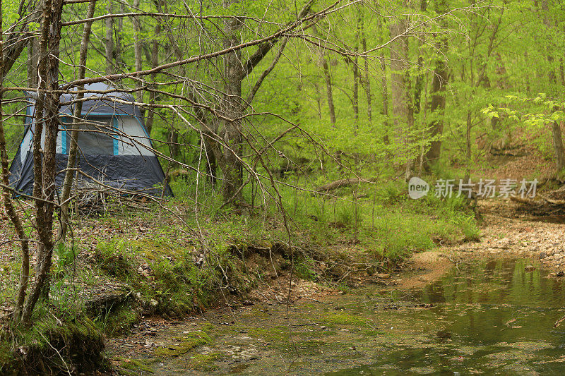 美丽的田纳西州露营地，帐篷，景观小溪流经绿色林地