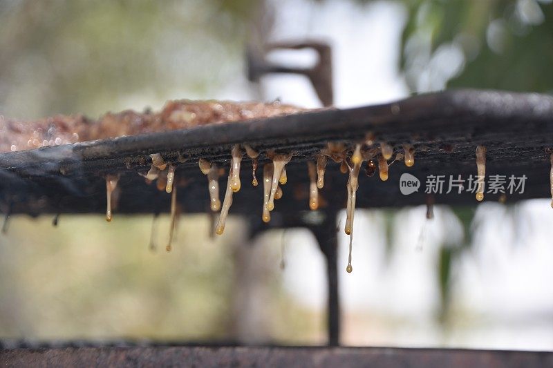 肥肉从烤架上滴下来