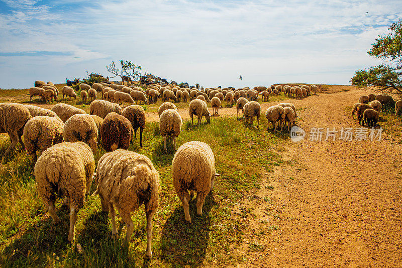 夏天的葡萄牙阿尔沃