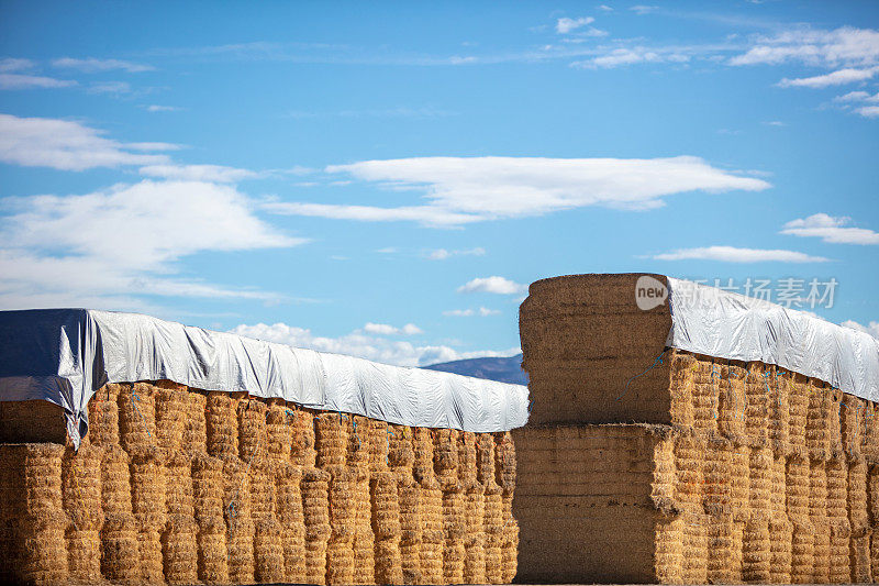 干草包和堆栈农村背景，表面和户外纹理西部科罗拉多