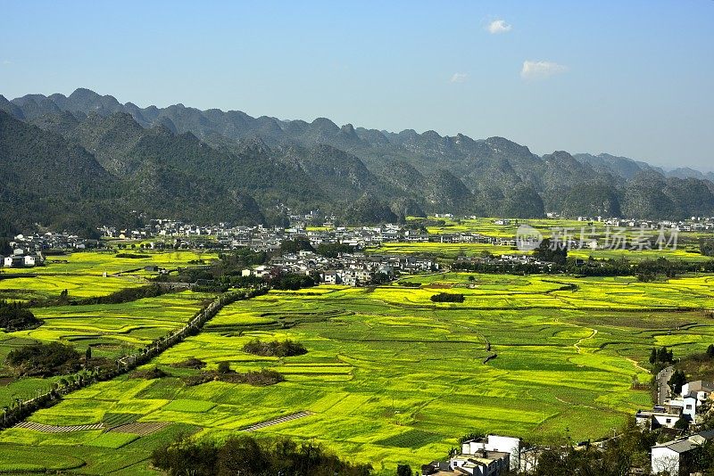 村和油菜花田在喀斯特山峰森林